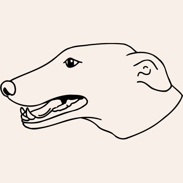 DOG077 Thumbnail