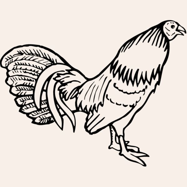 CHICK001 Thumbnail