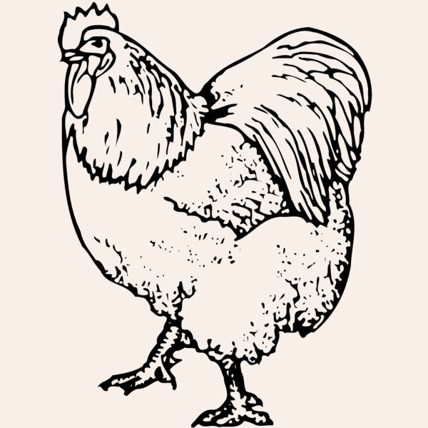 CHICK003 Thumbnail