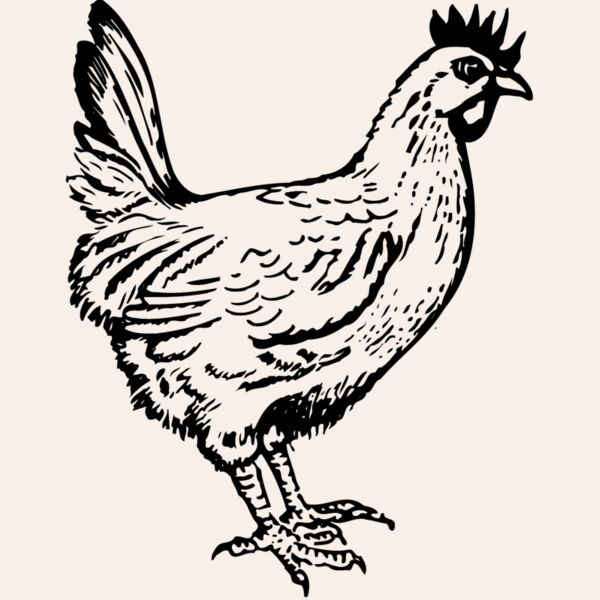 CHICK004 Thumbnail
