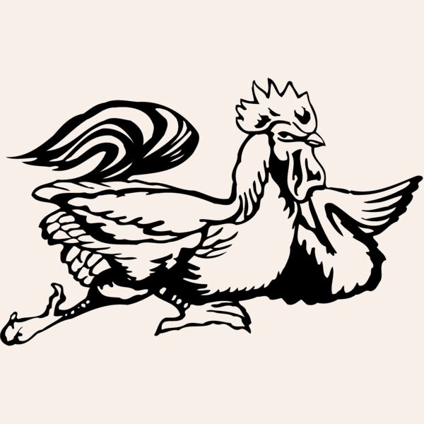 CHICK010 Thumbnail