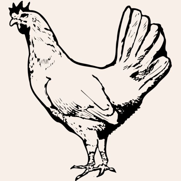 CHICK012 Thumbnail