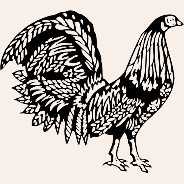 CHICK013 Thumbnail