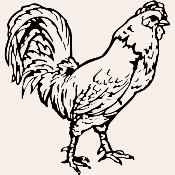 CHICK019 Thumbnail