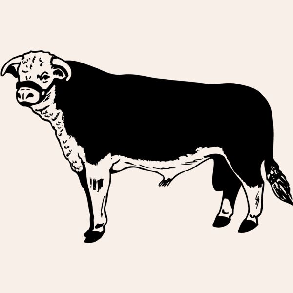 COW012 Thumbnail