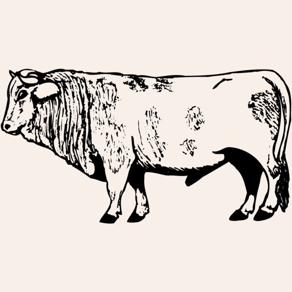 COW014 Thumbnail