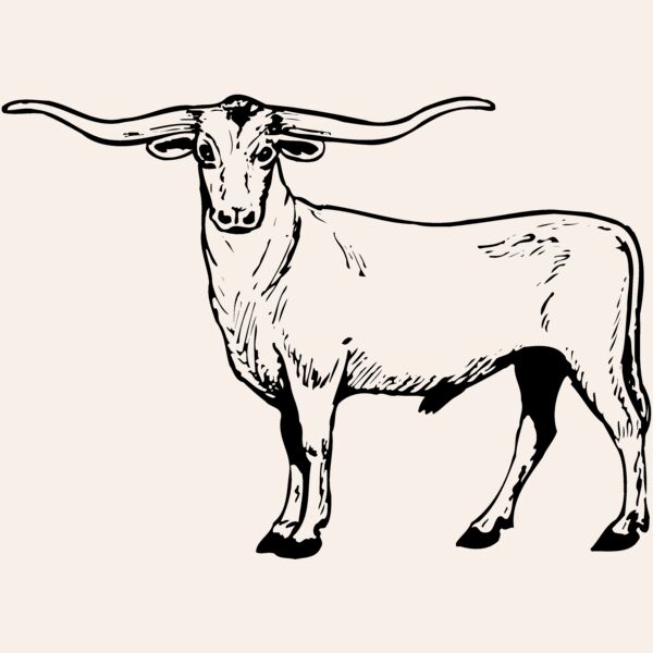 COW016 Thumbnail