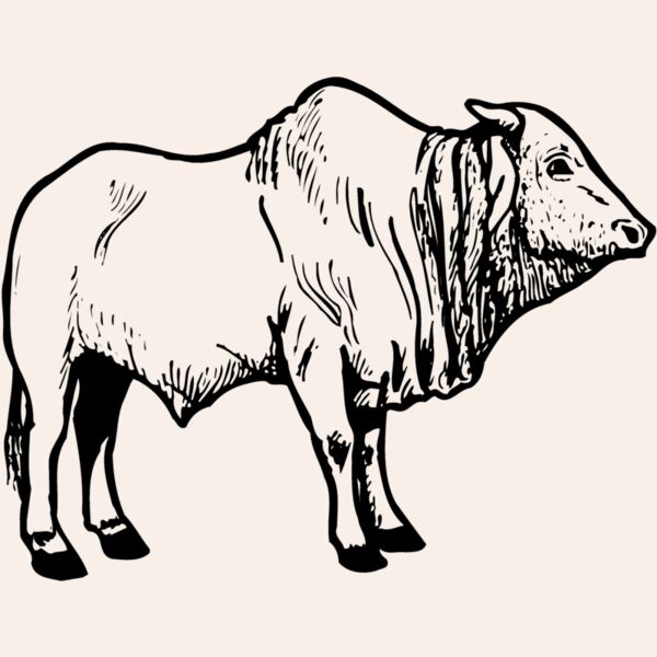 COW021 Thumbnail