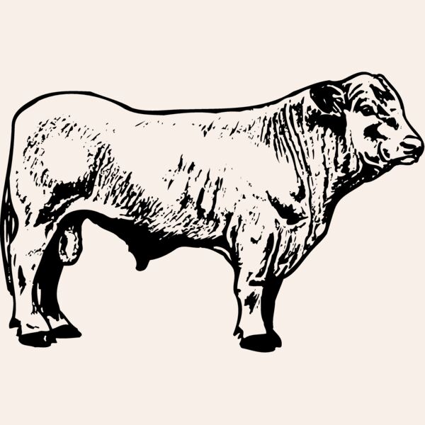COW023 Thumbnail