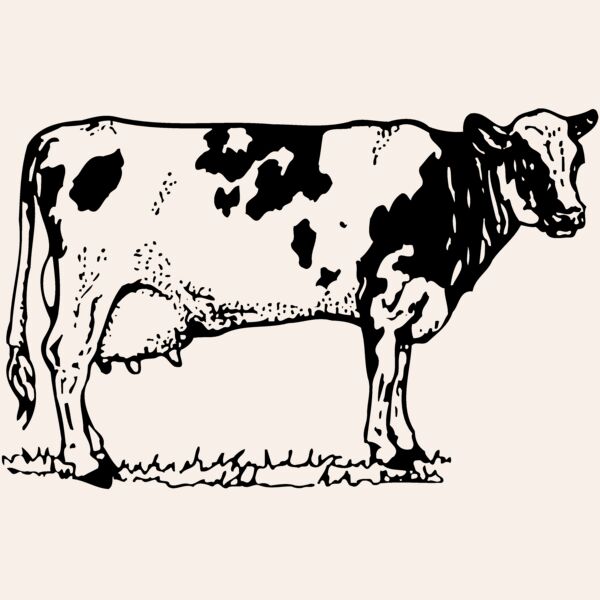 COW026 Thumbnail