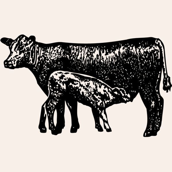COW029 Thumbnail