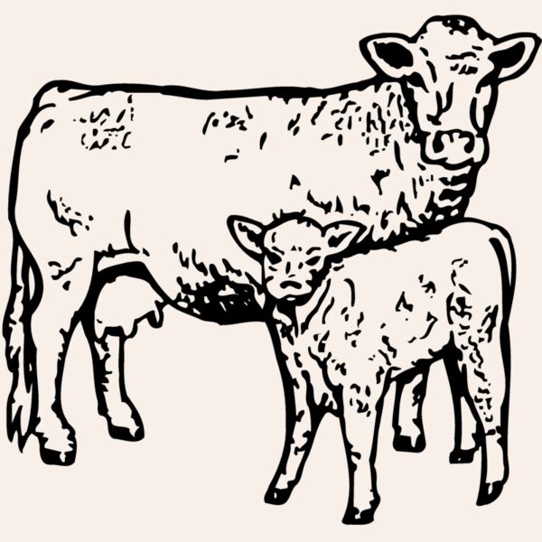 COW030 Thumbnail