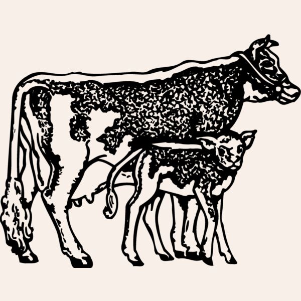 COW032 Thumbnail