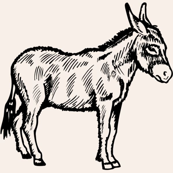 BURRO006 Thumbnail