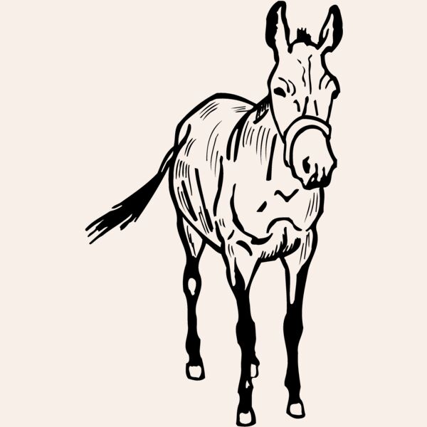 BURRO010 Thumbnail