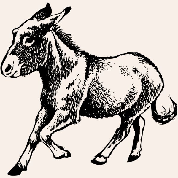 BURRO011 Thumbnail