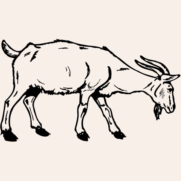 GOAT002 Thumbnail