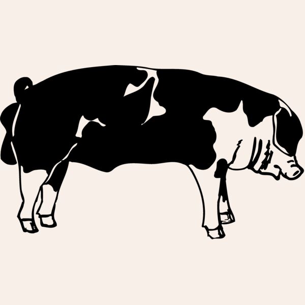 HOG0003 Thumbnail
