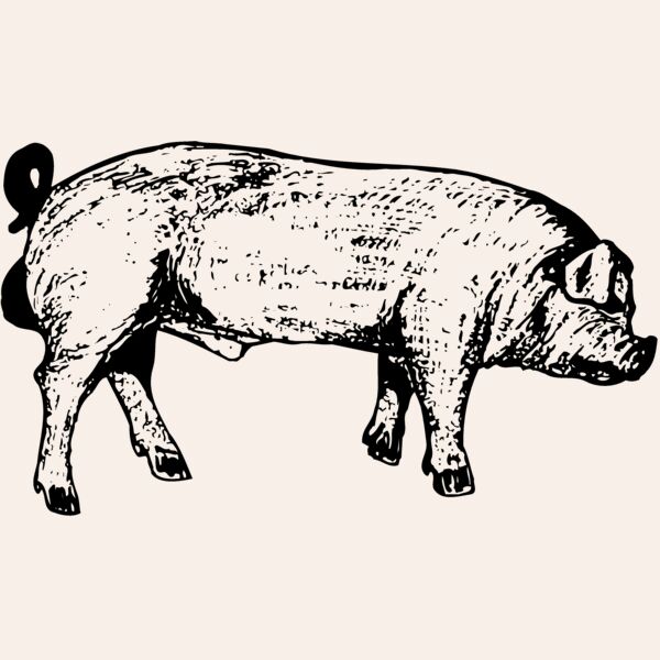 HOG0004 Thumbnail