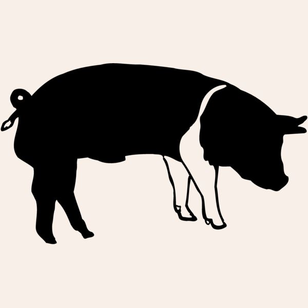 HOG0005 Thumbnail