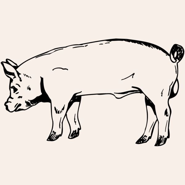 HOG0006 Thumbnail