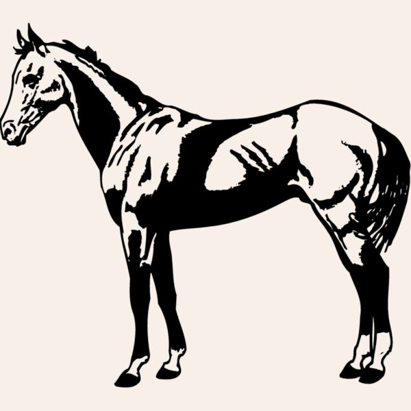 HORSE018 Thumbnail