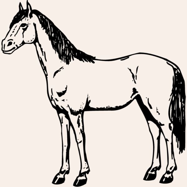 HORSE021 Thumbnail