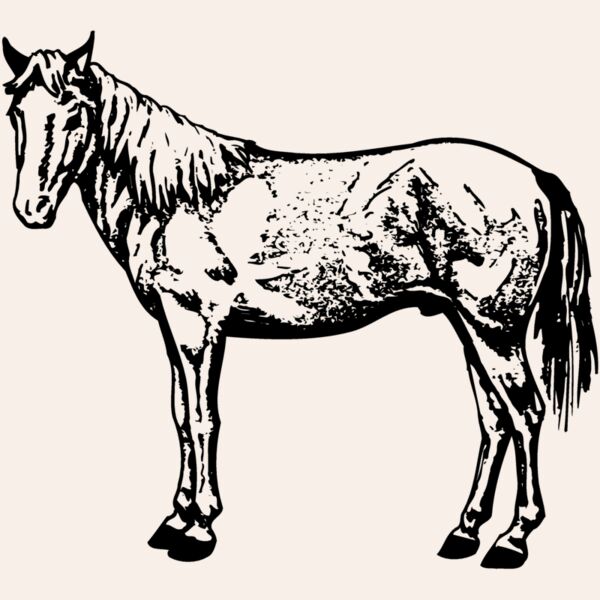 HORSE022 Thumbnail