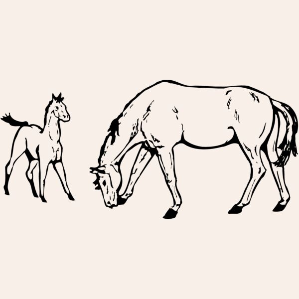 HORSE045 Thumbnail