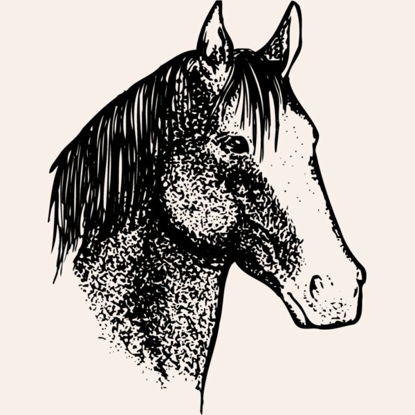 HORSE046 Thumbnail