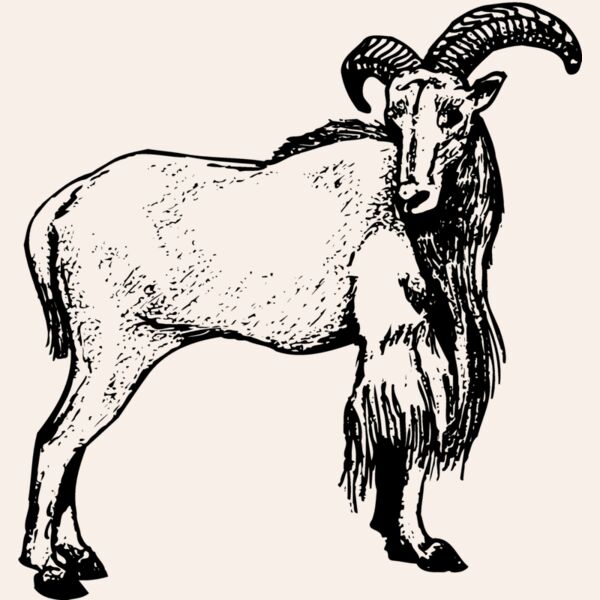 RAM001 Thumbnail