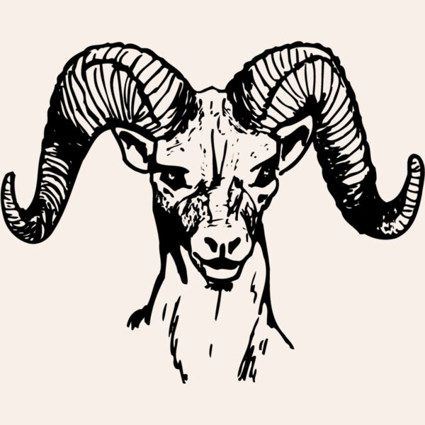RAM002 Thumbnail