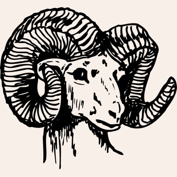 RAM003 Thumbnail