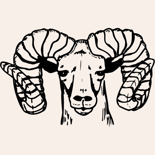 RAM004 Thumbnail