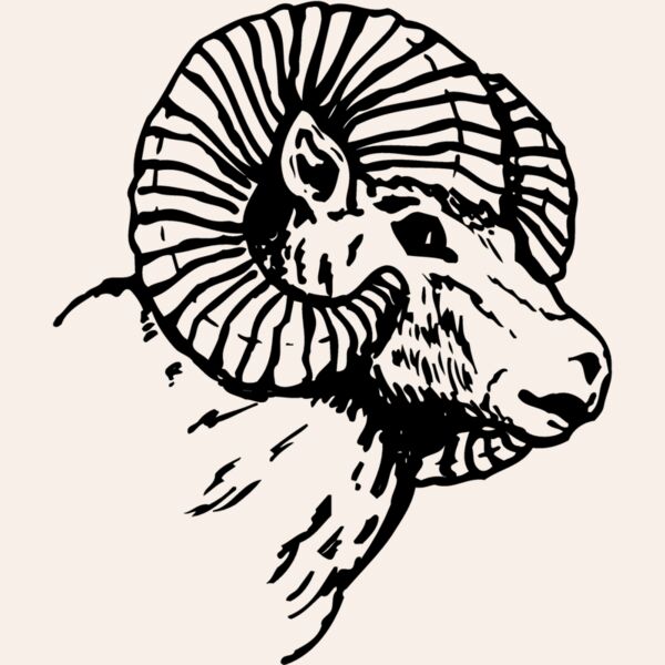 RAM005 Thumbnail