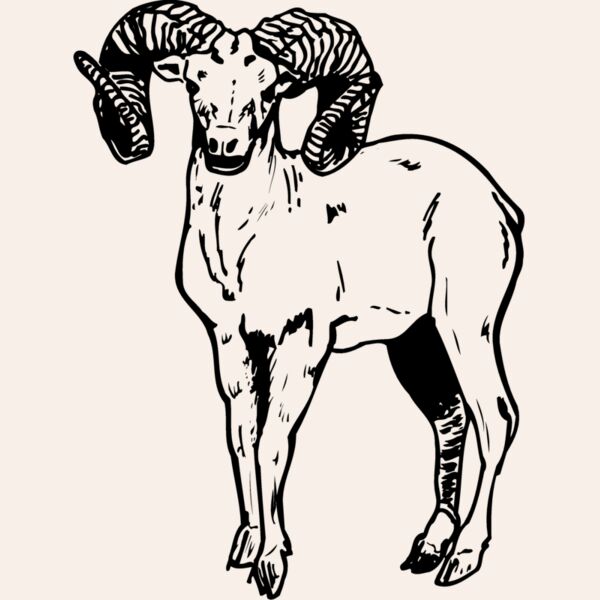 RAM006 Thumbnail
