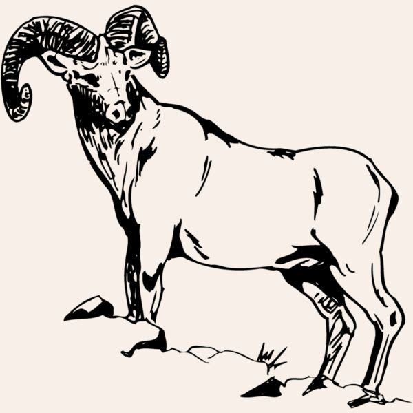 RAM013 Thumbnail