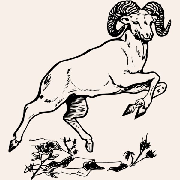 RAM014 Thumbnail