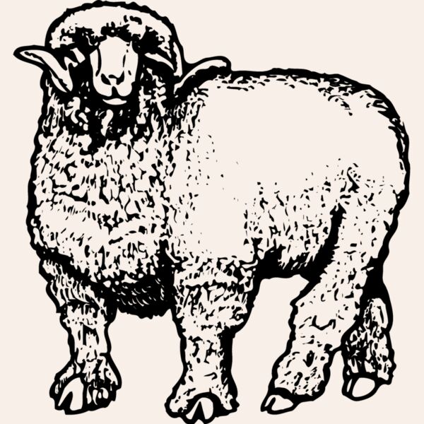 SHEEP001 Thumbnail