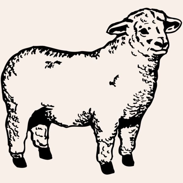 SHEEP003 Thumbnail