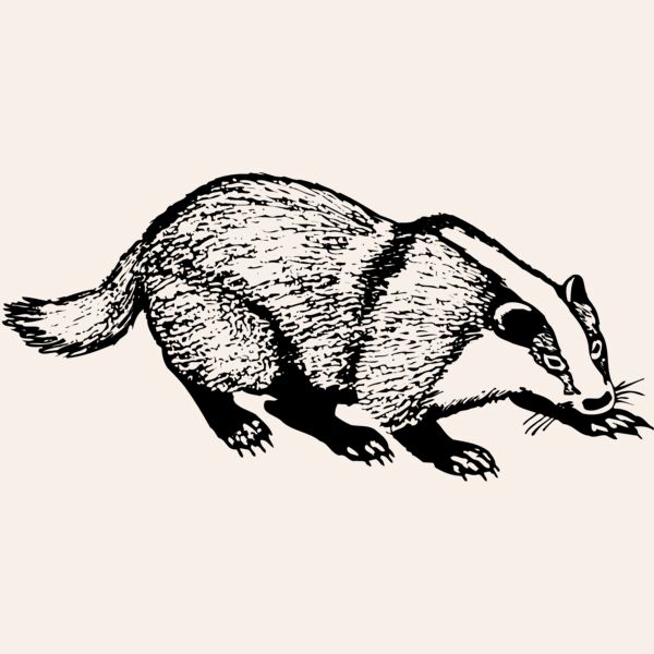 BADGER03 Thumbnail
