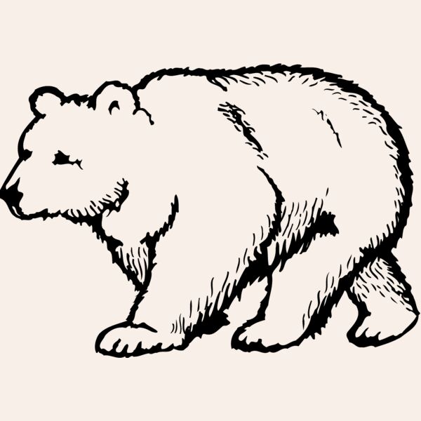 BEAR017 Thumbnail