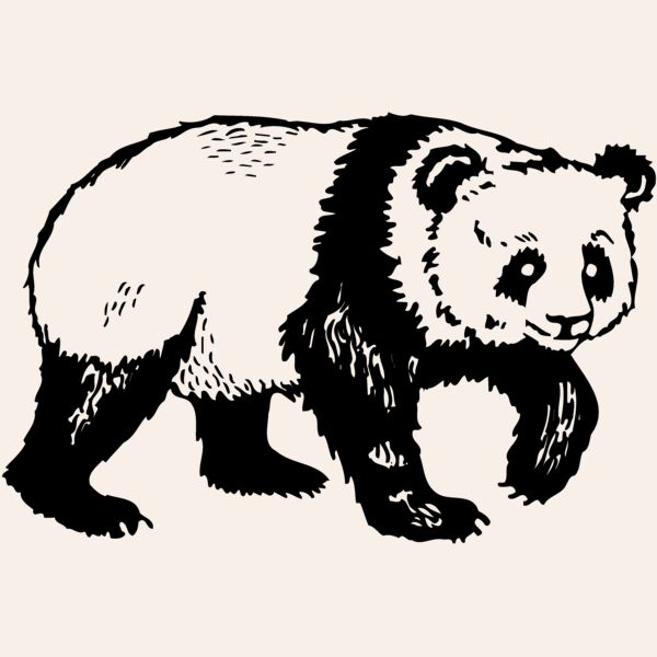 BEAR019 Thumbnail