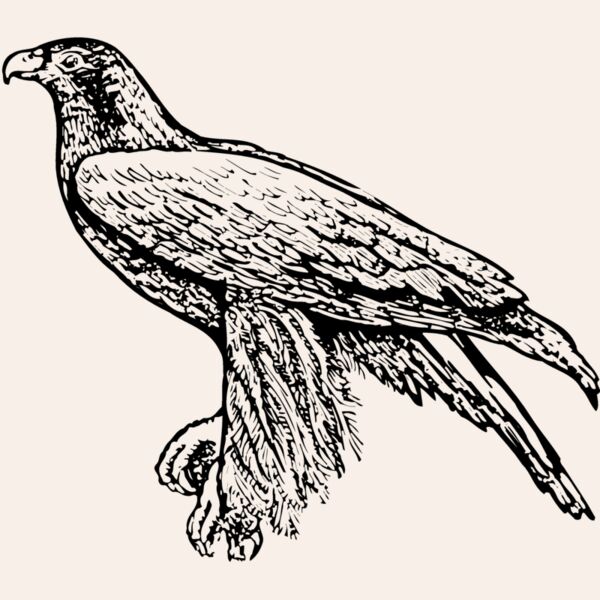 BIRD003 Thumbnail