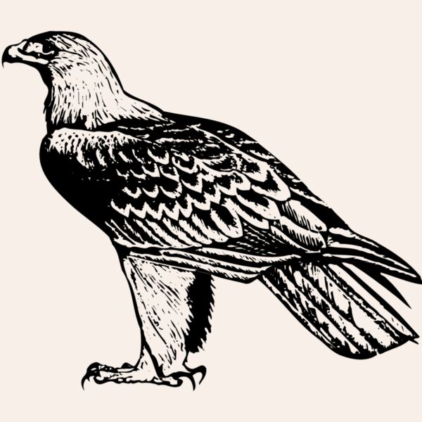 BIRD005 Thumbnail