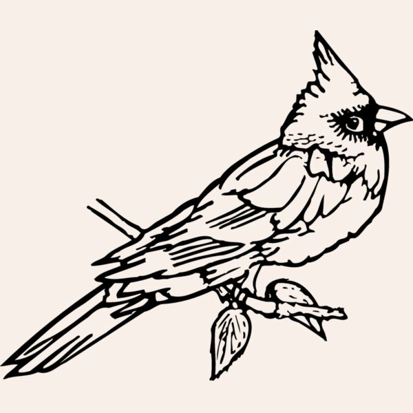 BIRD009 Thumbnail
