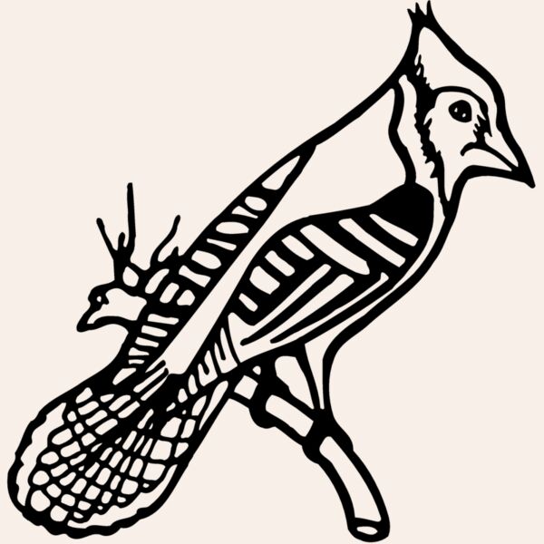 BIRD010 Thumbnail