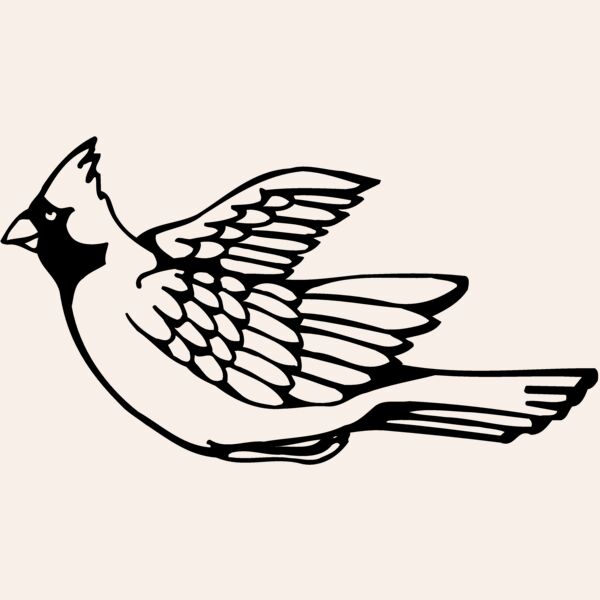 BIRD012 Thumbnail