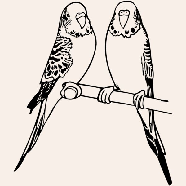 BIRD014 Thumbnail