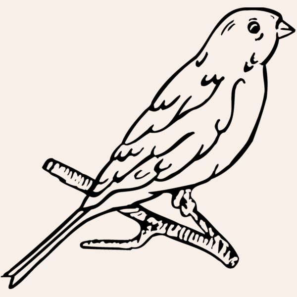 BIRD015 Thumbnail